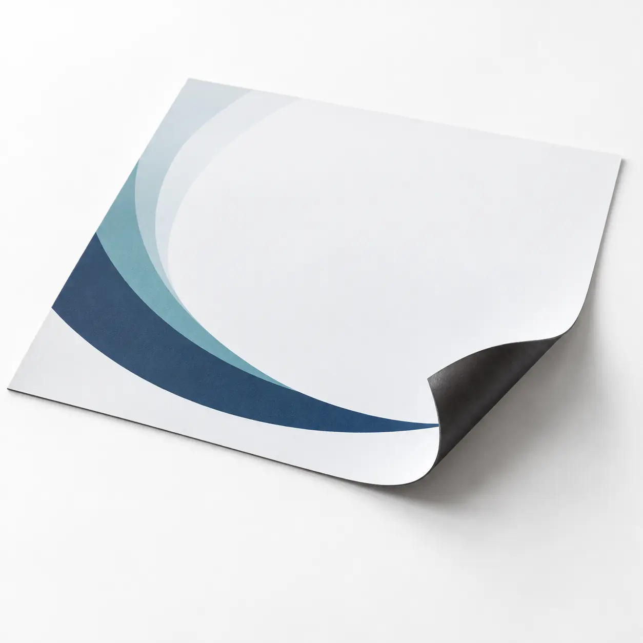 Supporto magnetico PET personalizzato